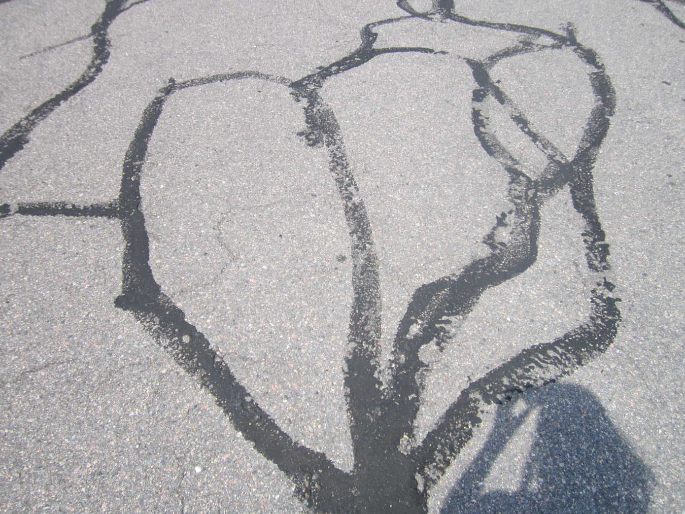 The Heart in the Parking Lot